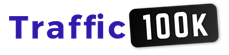 Traffic100K logo