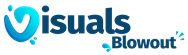 VisualsBlowout logo
