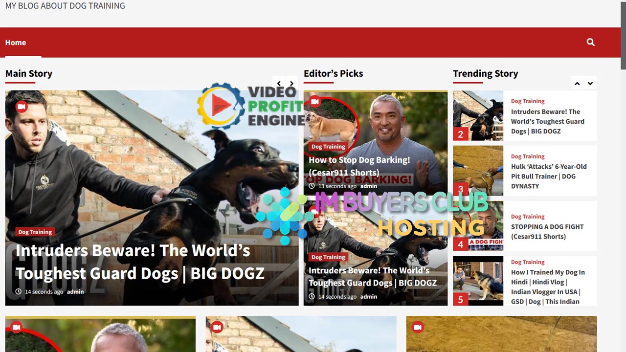 VideoProfitEngine 