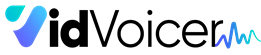 VidVoicer_logo