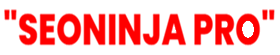 SEO Ninja Pro logo